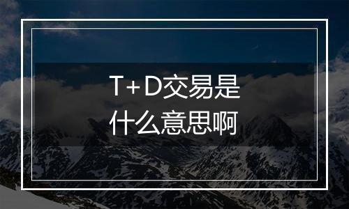 T+D交易是什么意思啊