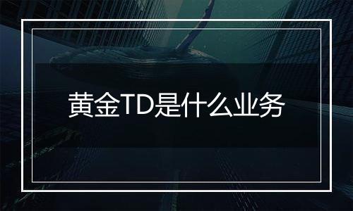 黄金TD是什么业务