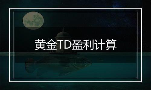 黄金TD盈利计算