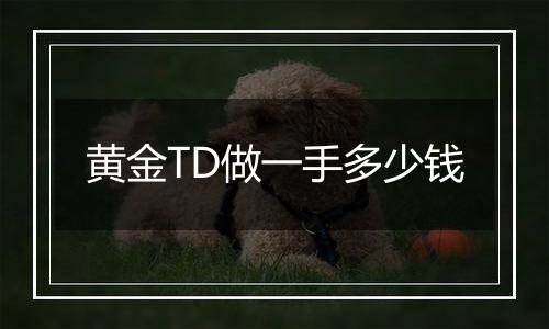 黄金TD做一手多少钱