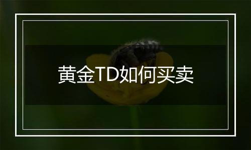 黄金TD如何买卖