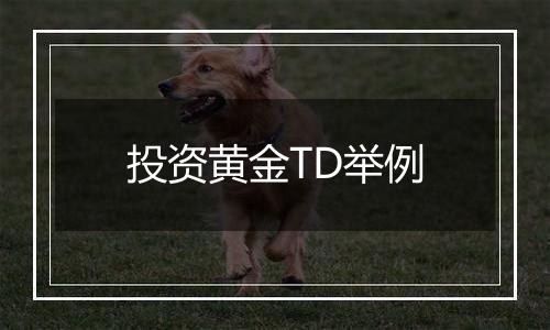 投资黄金TD举例