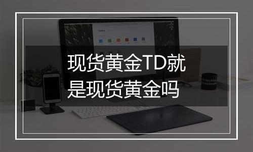 现货黄金TD就是现货黄金吗