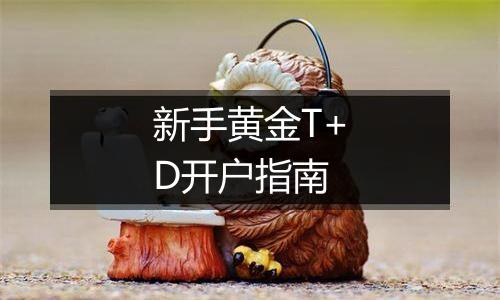 新手黄金T+D开户指南