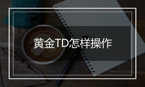 黄金TD怎样操作