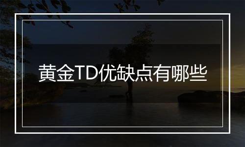 黄金TD优缺点有哪些