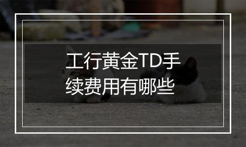 工行黄金TD手续费用有哪些