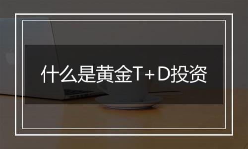 什么是黄金T+D投资