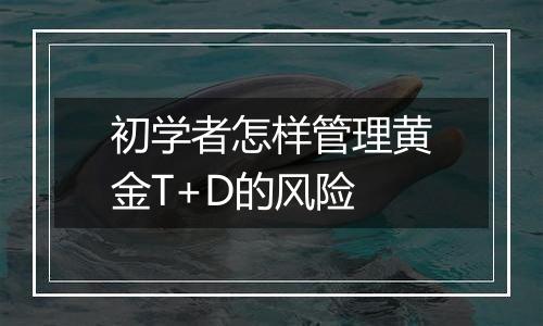 初学者怎样管理黄金T+D的风险