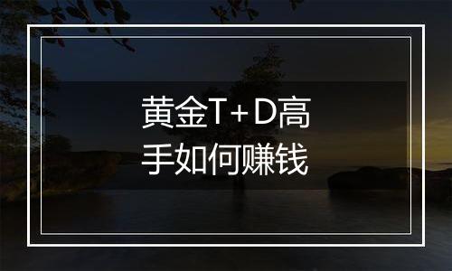 黄金T+D高手如何赚钱