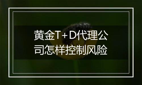 黄金T+D代理公司怎样控制风险