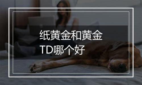 纸黄金和黄金TD哪个好