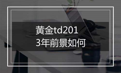 黄金td2013年前景如何