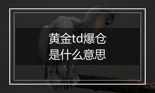 黄金td爆仓是什么意思