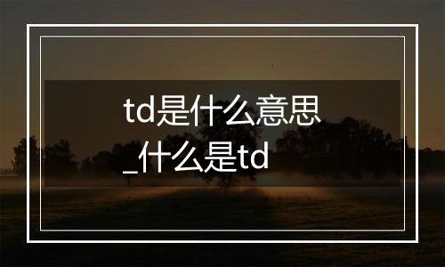 td是什么意思_什么是td