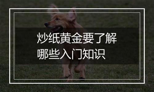 炒纸黄金要了解哪些入门知识