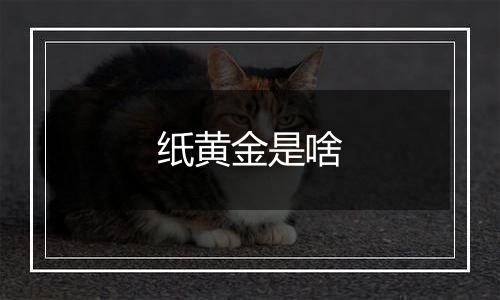 纸黄金是啥