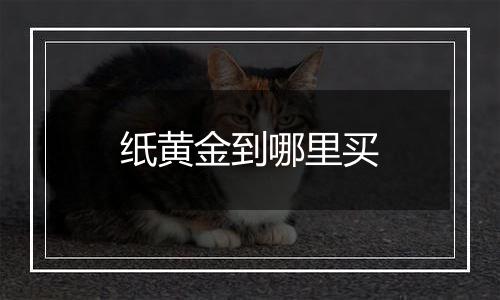 纸黄金到哪里买