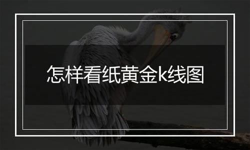 怎样看纸黄金k线图