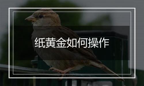 纸黄金如何操作