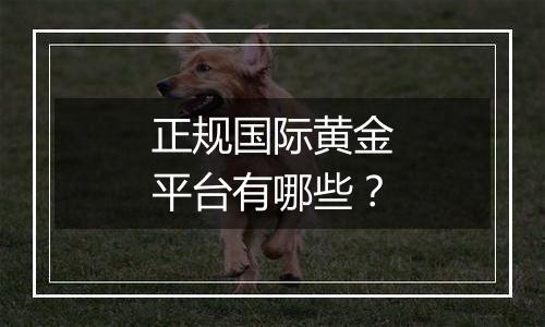 正规国际黄金平台有哪些？