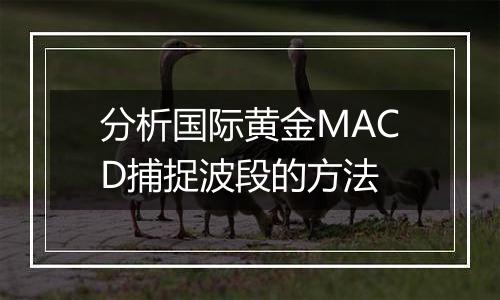 分析国际黄金MACD捕捉波段的方法