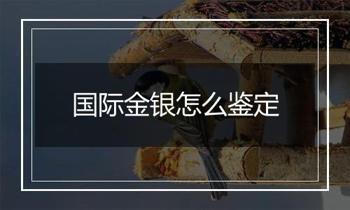 国际金银怎么鉴定