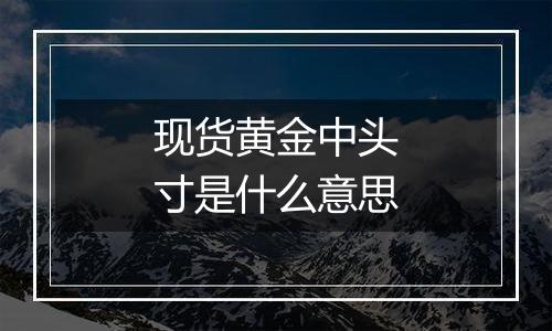 现货黄金中头寸是什么意思