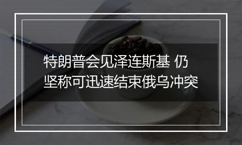 特朗普会见泽连斯基 仍坚称可迅速结束俄乌冲突