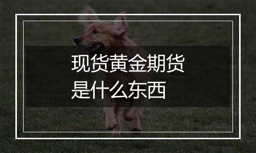 现货黄金期货是什么东西