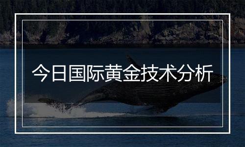 今日国际黄金技术分析