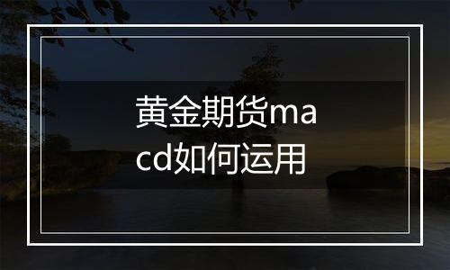 黄金期货macd如何运用