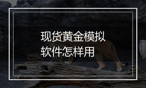 现货黄金模拟软件怎样用