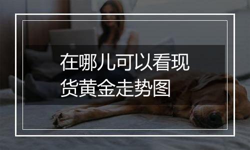 在哪儿可以看现货黄金走势图