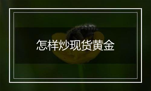 怎样炒现货黄金