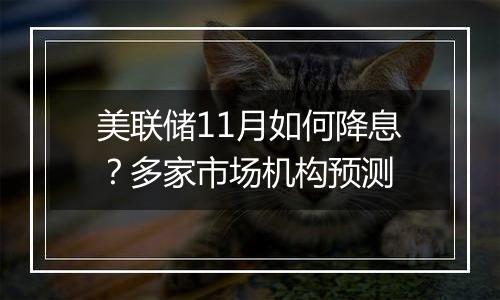 美联储11月如何降息？多家市场机构预测