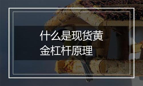 什么是现货黄金杠杆原理