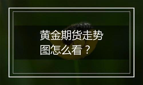 黄金期货走势图怎么看？