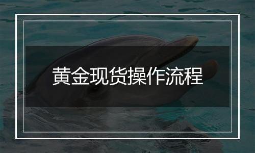 黄金现货操作流程