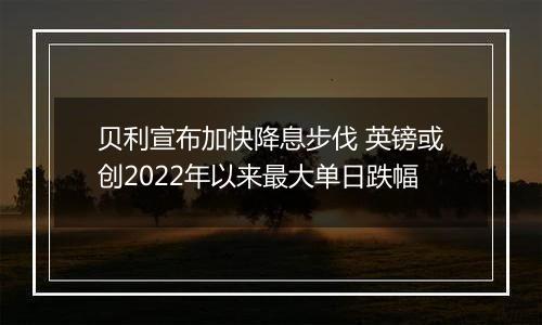 贝利宣布加快降息步伐 英镑或创2022年以来最大单日跌幅