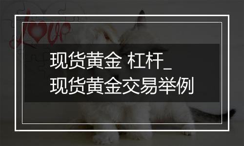 现货黄金 杠杆_现货黄金交易举例