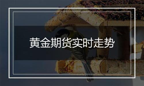 黄金期货实时走势