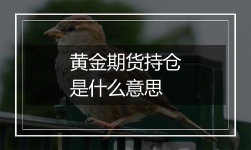 黄金期货持仓是什么意思