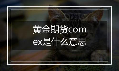 黄金期货comex是什么意思