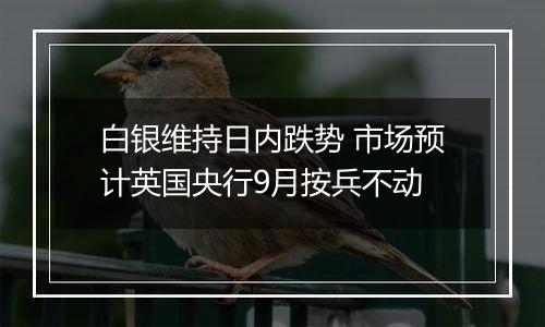 白银维持日内跌势 市场预计英国央行9月按兵不动