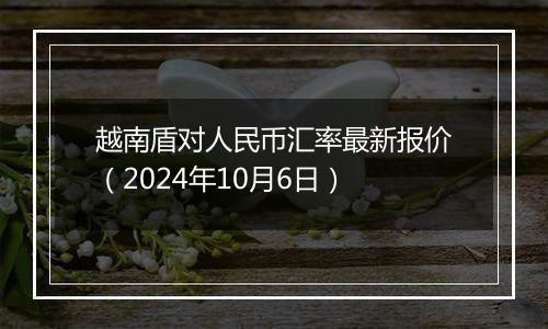 越南盾对人民币汇率最新报价（2024年10月6日）