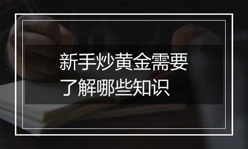 新手炒黄金需要了解哪些知识