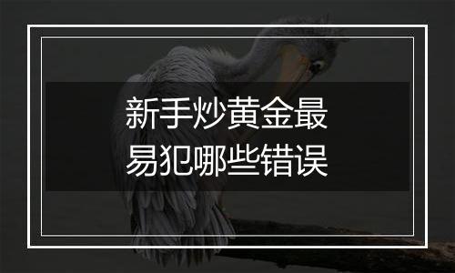 新手炒黄金最易犯哪些错误