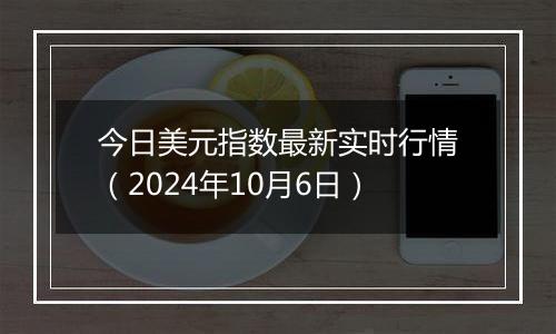 今日美元指数最新实时行情（2024年10月6日）