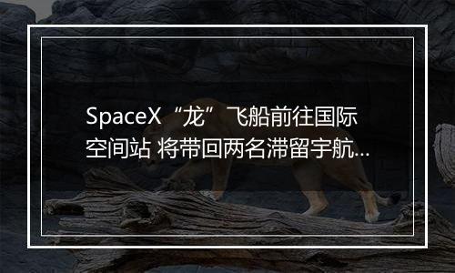 SpaceX“龙”飞船前往国际空间站 将带回两名滞留宇航员